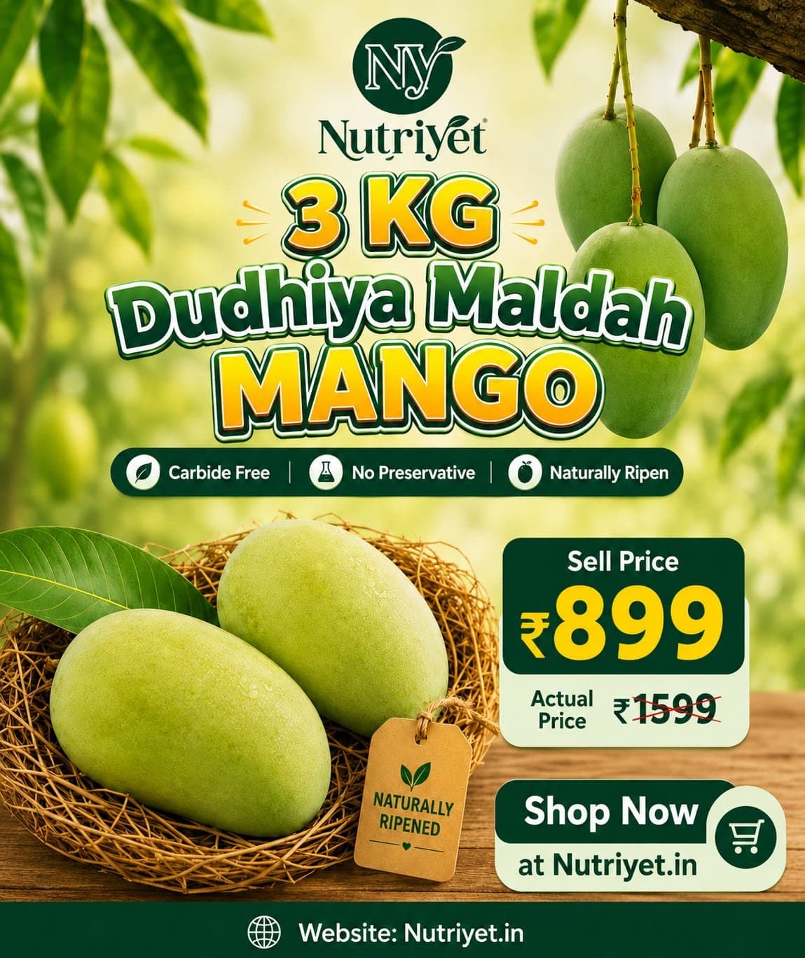 Dudhiya Maldah Mango (3kg Premium Box)